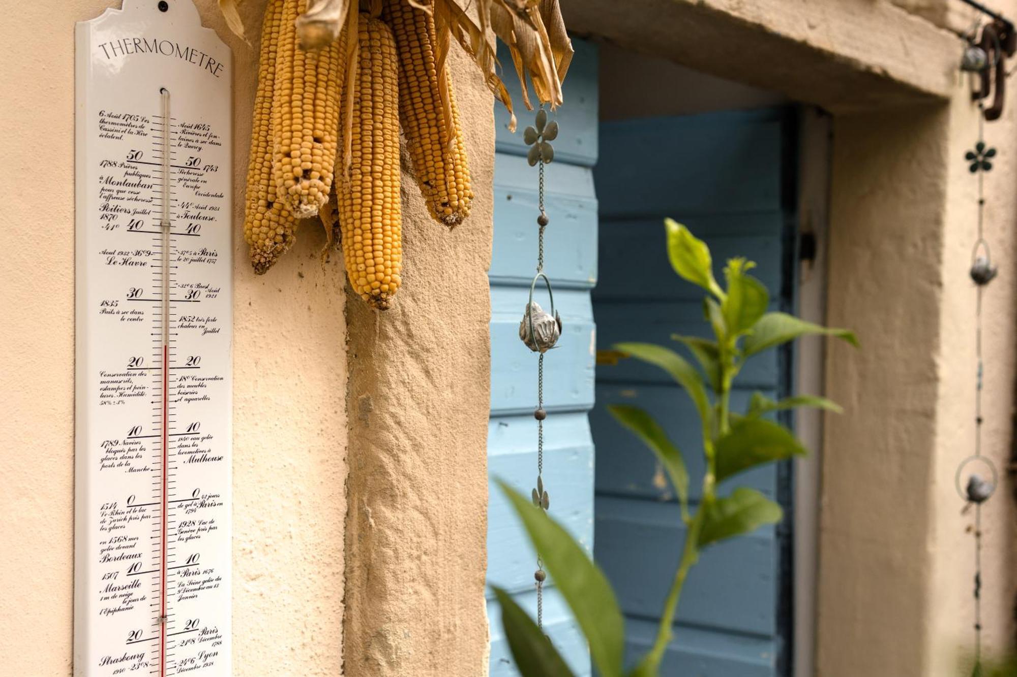 B&B Corte Del Mincio Monzambano Ngoại thất bức ảnh